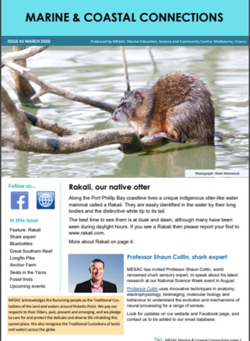 March Newsletter Now Online!